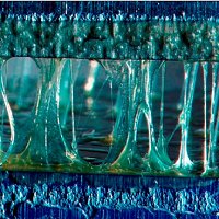 Biološka lepila slika 2.jpg