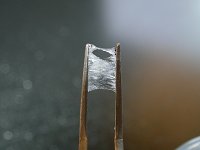 Biološka lepila slika 3b.jpg