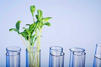 slider_img_1_725x480