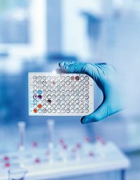 dff16171_In-vitro_s.jpg_ico500