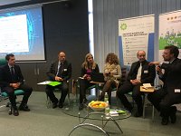 18-01-17_vanguard_iniciativa