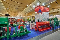 Srb. novica 5 - 26.11