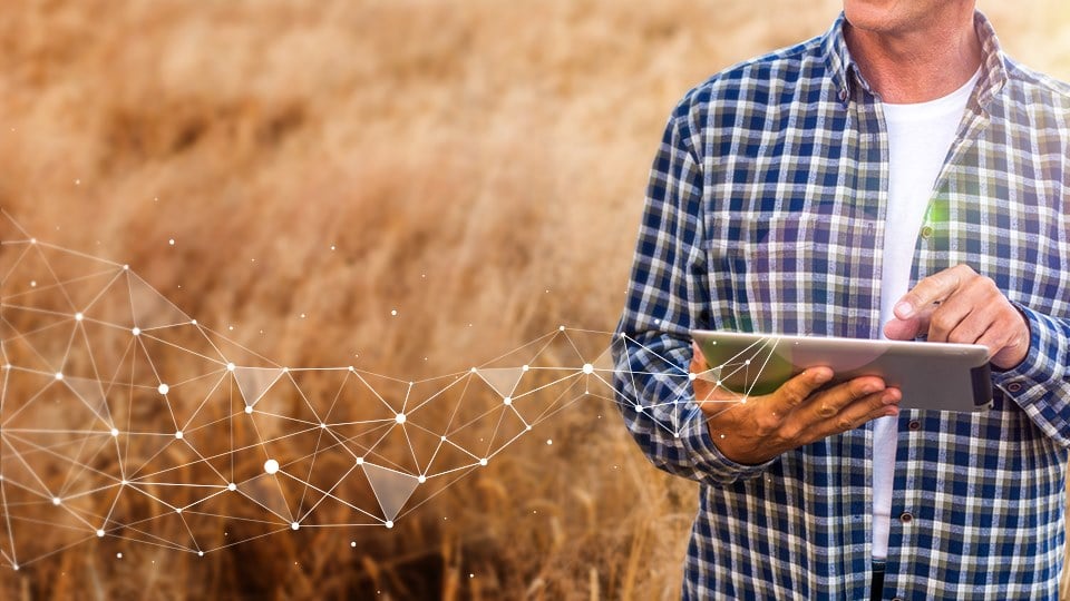 3. Agrivi, foto Facebook Agrivi