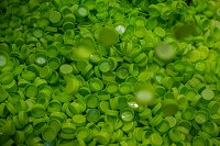 Engel @ Drinktec 2022- 6