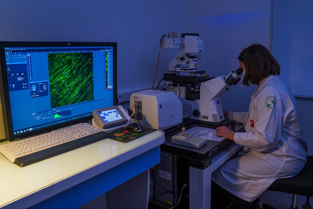 Oživljanje kozmetike - Probiolift